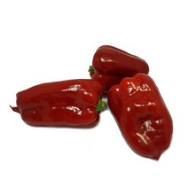 그린팜 생 홍피망 500g, 단품