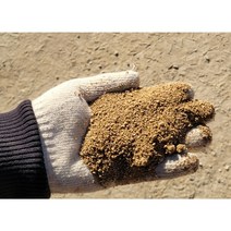 국내 자연산 마사토18kg(7mm이하) 다육이 제라늄 분갈이 흙 채소흙 텃밭 잔디 식물용, 친마사18kg(7mm이하 / 잔디보수 작은뿌리)