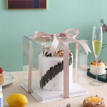 2단 케이크 투명 선물 포장 박스 상자 케이스 5개 1세트 미니 1호 2호 3호, B + 4인치 2단 17x17x20