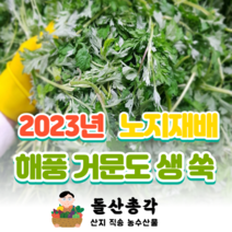[돌산총각] 국산 노지재배 해풍 맞고 자란 거문도 쑥, 해풍맞은 생쑥 3kg