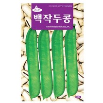 백작두콩 씨앗 10립 - 작두콩 작두콩씨앗 작두콩씨 콩씨앗 콩씨 씨 주말농장 텃밭, 18_백작두콩(10립)