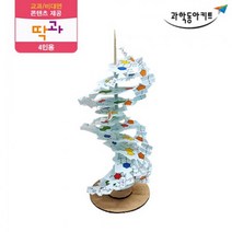 DNA 이중 나선 구조 성분 모형 4인 과일전지실험 실험실 교구 과일전지용판 과학실험용 과학기자재 실험