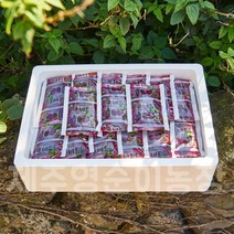 제주비트즙 30포/60포, (겨울수확) 제주비트즙 60포 1박스