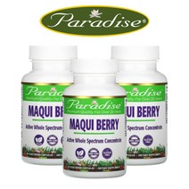 파라다이스허브 마키베리 Maqui Berry 60캡슐 3팩