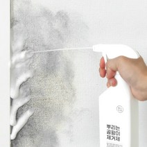청소도감 뿌리는 곰팡이 제거제, 2개, 400ml