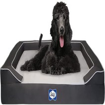 SEALY Lux Pet Dog Bed | Quad Layer Technology with Memory Foam Orthopedic Foam and Cooling Energy, 1