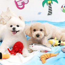 강아지 애착 인형 바스락 삑삑이 장난감 이갈이 토이 놀이 믹스견 웰시코기