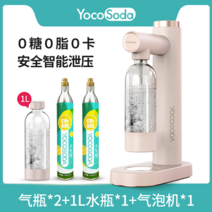 스파클링 탄산제조기 소다 실린더 세트 머신 워터 메이커 탄산수 기계 버블 가정용, V200 핑크 더블 에어, V200 핑크 더블 실린더