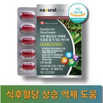 네추럴플러스 혈당조절 혈당엔 바나바잎 추출물 영양제 1450mg x 60정, 2개, 2개