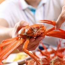 당일조업 산지직송 자숙 연지홍게 홍게 수율보장 1.5kg, A급 자숙 연지 홍게 1.,5kg(5~7미)