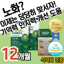 기억력 인지력 건강 포스파티딜세린 은행잎 추출물 플라보노이드 빌로발라이드 징코 진코 개선 도움 감퇴 감소 예방 40 50 60 대 중 장 노 년층 노인 어르신 부모님 사은품, 1개