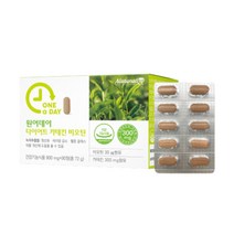 체지방커팅 다이어트 카테킨 비오틴 녹차추출물 항산화 복부지방 콜레스테롤 개선에 도움 1개x90정 3개월분