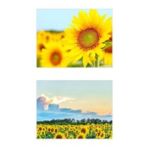 집에걸어두면좋은그림 해바라기 거실꾸미기 침실풍수 개업선물 예쁜액자 벽장식, 알루미늄액자 (블랙)