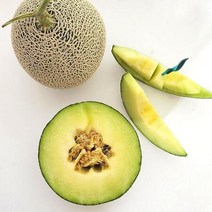 국내산 곡성 머스크멜론 대과 4개 1개당 1.6~2kg, 상세페이지 참조, 상세페이지 참조, 상세페이지 참조, 상세페이지 참조