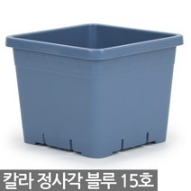칼라 사각화분 21호 - 정사각 분갈이 인테리어 플분 플라스틱 재배분 식물 분배분 베란다 사각 화분, 02_세인_칼라정사각_15호(블루)