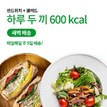 슬림쿡 간혈적단식 C (샌드위치+샐러드) 1주/2주/4주/8주 식단, 2주
