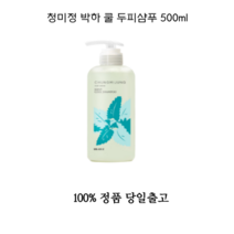 청미정 박하 쿨 두피샴푸 500ml 청미정샴푸 박하쿨샴푸 박하샴푸 쿨샴푸 천연샴푸 지성샴푸 청미정쿨샴푸 모공 탈모 지루성 개선 샴푸, 1개