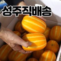 내고향농수산 참외 성주참외 직거래 꿀참외 특등품 2kg 3kg 5kg 10kg, 성주 참외 5kg