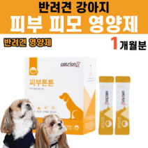 피부 피모 강아지피부 강아지 댕댕이 멍멍이 개 반려동물 반려견 털빠짐 낙산균 고초균 발효홍삼박 비오틴 아연 비타민A 모질 포도당, 1박스