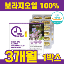 감마리놀렌산 보라지오일 감마리놀레산 보리지오일 보라지꽃 PMS 혈행개선 식물성 여성영양제 PMS영양제