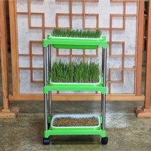 새싹 보리 재배기 고급형 3세트 장식 장 보리 씨앗 300g 베란다 텃밭 수경 재배 도시 농업 34500원, 재배기 종합 세트