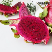 [만나몰] 베트남 레드용과 10과 1박스 5KG