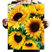 파센 DIY 보석 십자수 캔버스형 50 x 40 cm, 1세트, KK-013 해바라기 정원입니다