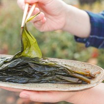 울릉도 명이나물 장아찌 산마늘 잎 절임 국산 향적원, 명이나물(산마늘)장아찌 500g