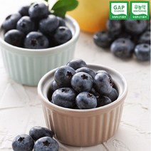 [아이원세븐] [충북청주] 무농약 냉동 블루베리 1kg/12mm이상, 상세 설명 참조