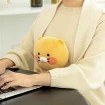 미니 플랫 낮잠 쿠션 독서 배쿠션 - 라이언