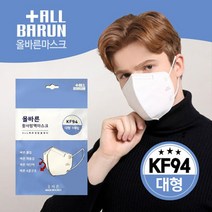 더 올바른 KF94 대형 새부리형 마스크 개별포장 3중구조 3D 비말차단 MB필터 10매, 상세페이지 참조6, 상세페이지 참조6, 상세페이지 참조6