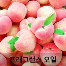 엔피솝 복숭아(Peach) 프래그런스오일 인공향 캔들 디퓨저 방향제 DIY 만들기, 20ml