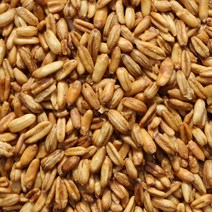 국산귀리100% 바로먹는 볶음귀리 볶은 통귀리 500g, 1개