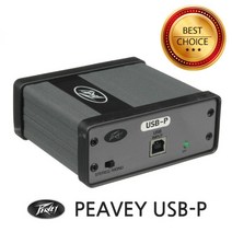 Peavey USB-P, 본품
