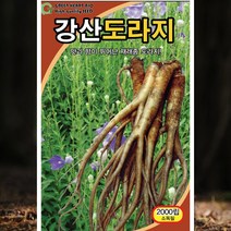 도라지씨앗 도라지씨 강산도라지 토종 종자 2000립
