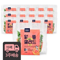 1am 정기배송 알뜰 데일리 야채 샐러드 레드, 100g x 15팩 3주 정기배송