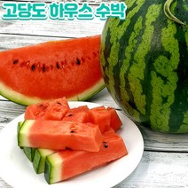 당도 선별 고당도 하우스 못난이 수박 4kg 5kg, 하우스 수박 4kg(못난이), 1개