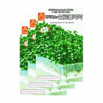 아시아종묘 채소씨앗 - 새싹씨앗 브로콜리싹(30gx3)