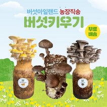 버섯키우기, 금빛1+표고1+느타리1