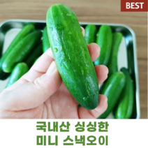 국산 러스 보이 미니 오이 스낵 오이 1.5kg 싱싱한 작은 피클 오이지 생식 다이어트 꼬마 오이 작은 오이 생식