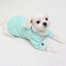 도기코디 무지 긴팔 티셔츠 애견 강아지봄옷 가을옷, 민트