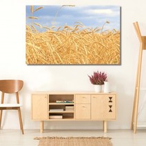 셀러허브 벼이삭 가을 와이드 풍경 사진 그림 액자 20호 73x46cm, 캔버스액자(옆면검정)