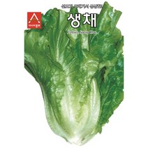 아시아종묘 생채 씨앗 1500립