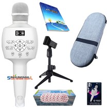 금영 KY-K300 뮤즐2 블루투스무선마이크형 휴대용 차량용 가정용노래방 12W 파우치/스텐드/템버린/마이크커버100매, KY-K300/기본 사은품+목록집