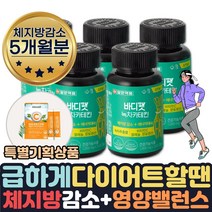 효과좋은 단기간 다이어트 필요할때 피하지방 내장지방 살빠지는 체지방분해 도움 식약처인증 녹차추출물 카테킨 보조제 약 1달치 살빼는 허벅지살 얼굴살 팔뚝살 허리 빼는법 줄이는법 도움, 5개월분+비타민C