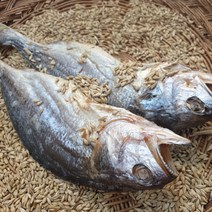 완전손질 수작업 영광 법성포 보리굴비 왕특대 31~32cm (개별 진공포장 비늘 지느러미 꼬리 제거 ) 뱓으신후 20분 쪄서만 드세요, 5마리, 31cm~32cm