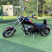할리데이비슨 소형바이크 110cc 경량 키덜트 전시, 실버 125cc