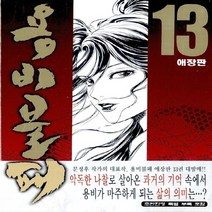 학산문화사(만화) 새책-스테이책터 [용비불패 13] -애장판--학산문화사(만화)-문정후 지음-무협-20110307 출간-판형 128x188(, 용비불패 13