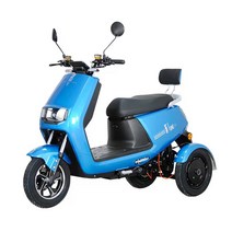 삼륜전기오토바이 성인용 고속 전기 삼륜차 배터리 오토바이 어린이용 홈픽업 72V 소형 텀블러 클라이밍킹, A.전면 및 후면 3개의 디스크 브레이크 듀얼 모터(빈