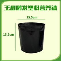 비닐포트 모종화분 비닐폿트 소형 중형 대형 대용량, 15.5x15.5/ 3000장